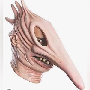 Beetlejuice Costume Adam mask